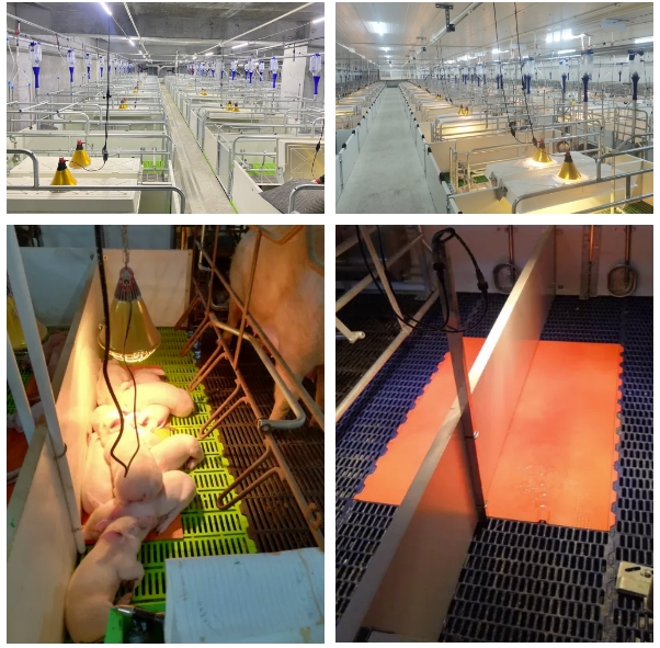 微信截圖_20240814130515.png 微信截圖_20240814130515.png