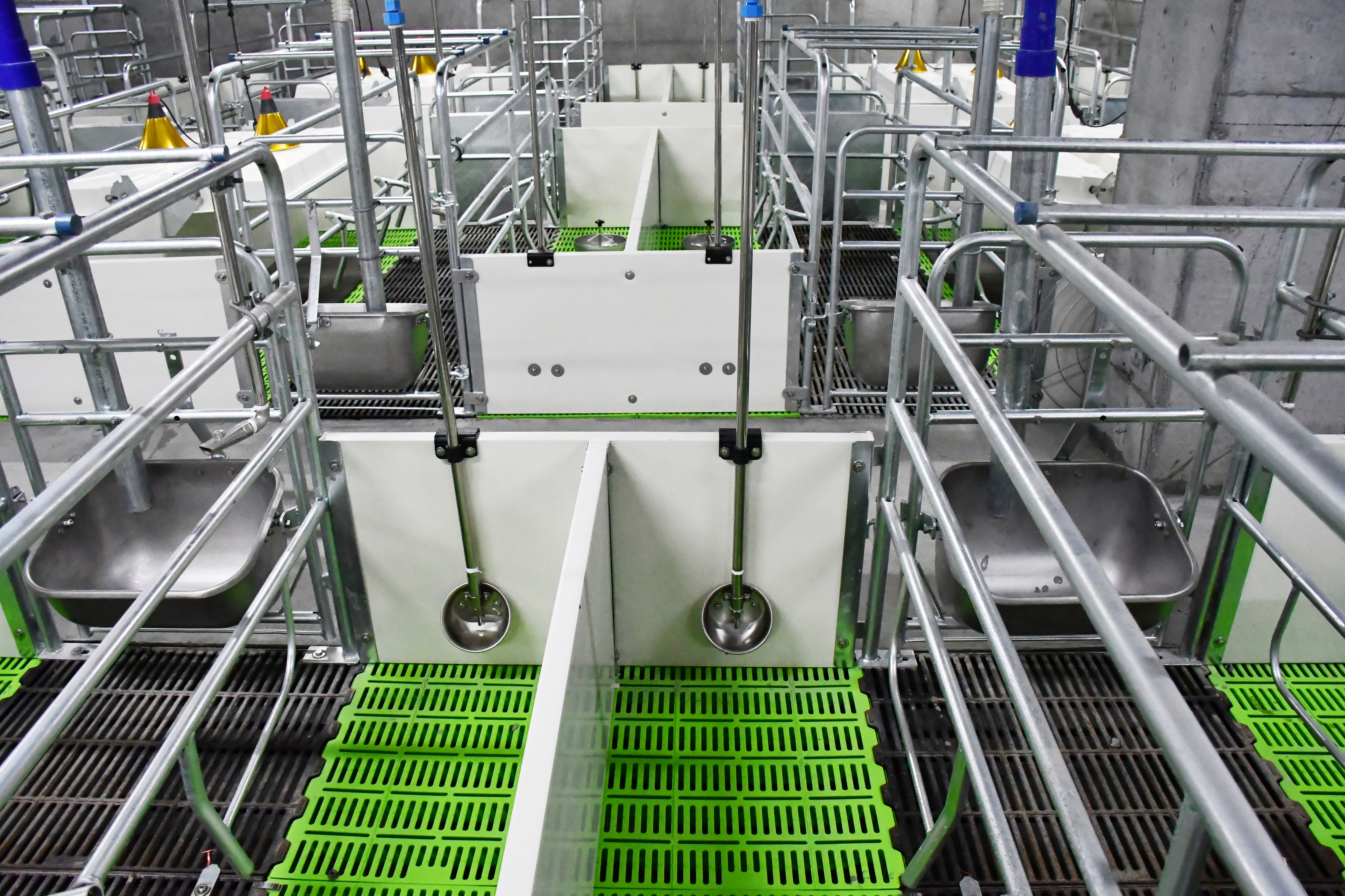 飲水1.jpg 飲水1.jpg